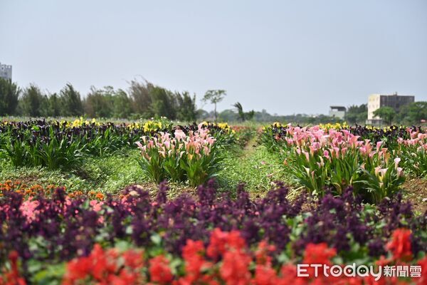 ▲▼花蓮縣政府赴桃園溪海休閒農業區觀摩農遊新模式。（圖／花蓮縣政府提供，下同）