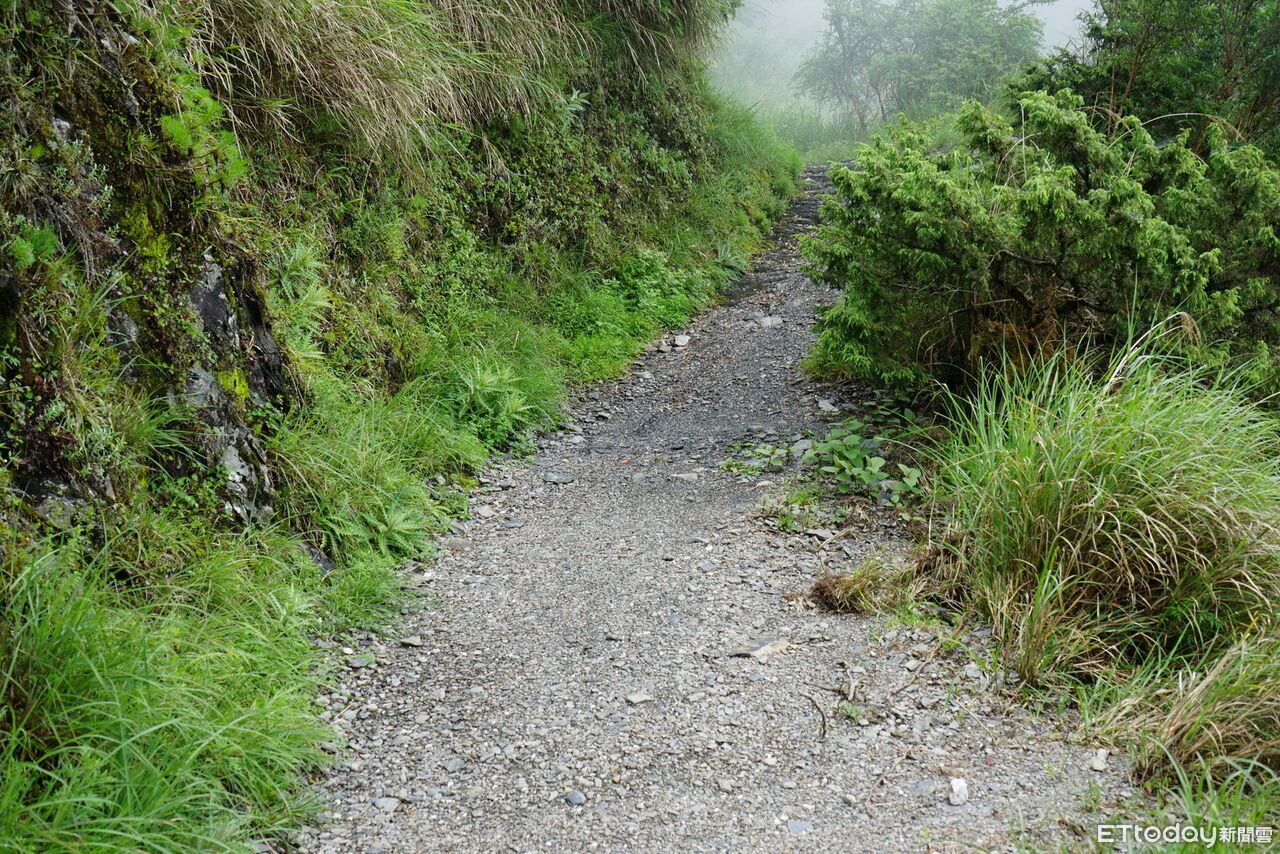 春夏之交雨量和登山風險漸增 林保署提醒山友行前檢核四要點