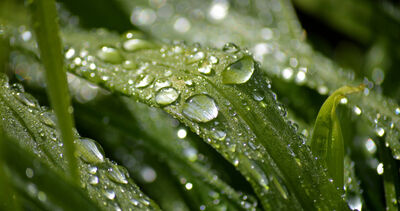 4/20迎穀雨！命理師揭7大禁忌　超簡易開運法公開