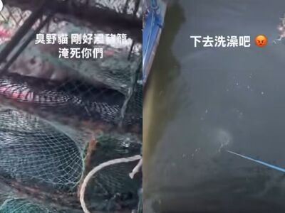 冷血男「2幼貓裝籠」丟大海！嗆：浸豬籠淹死你們　網看全炸鍋