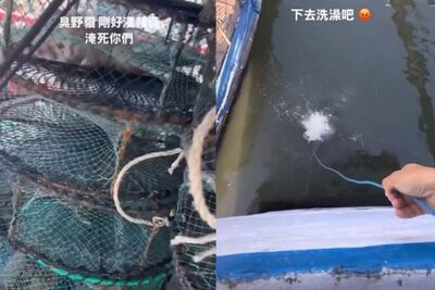 兩幼貓「遭關魚籠」丟入海中　兇手拍片嗆：下去洗澡吧