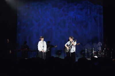 成軍15年...雙人組合成員突曝心聲：想走幕後　台下觀眾全傻眼