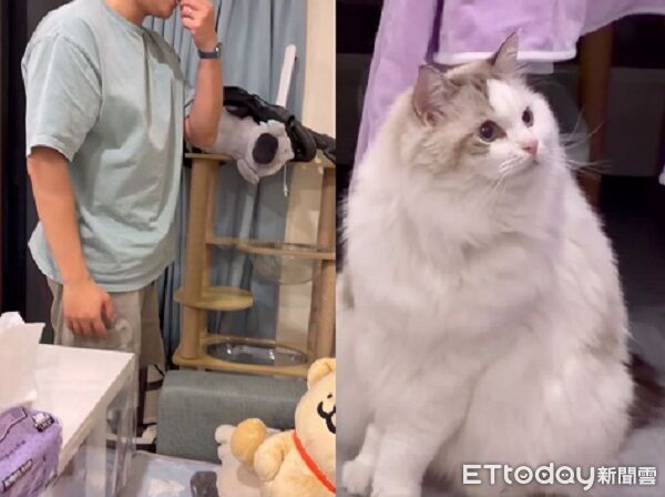 ▲。（圖／Threads@ling_xuan_02提供）