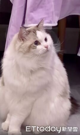 ▲。（圖／Threads@ling_xuan_02提供）