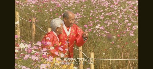 ▲《親愛的，不要跨過那條江》奶奶百歲辭世。（圖／翻攝自韓網）