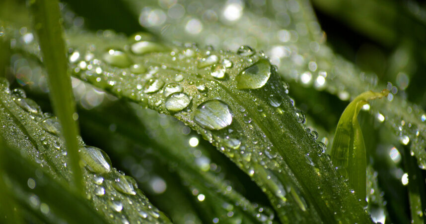 4/20迎穀雨!命理師揭7大禁忌 超簡易開運法公開