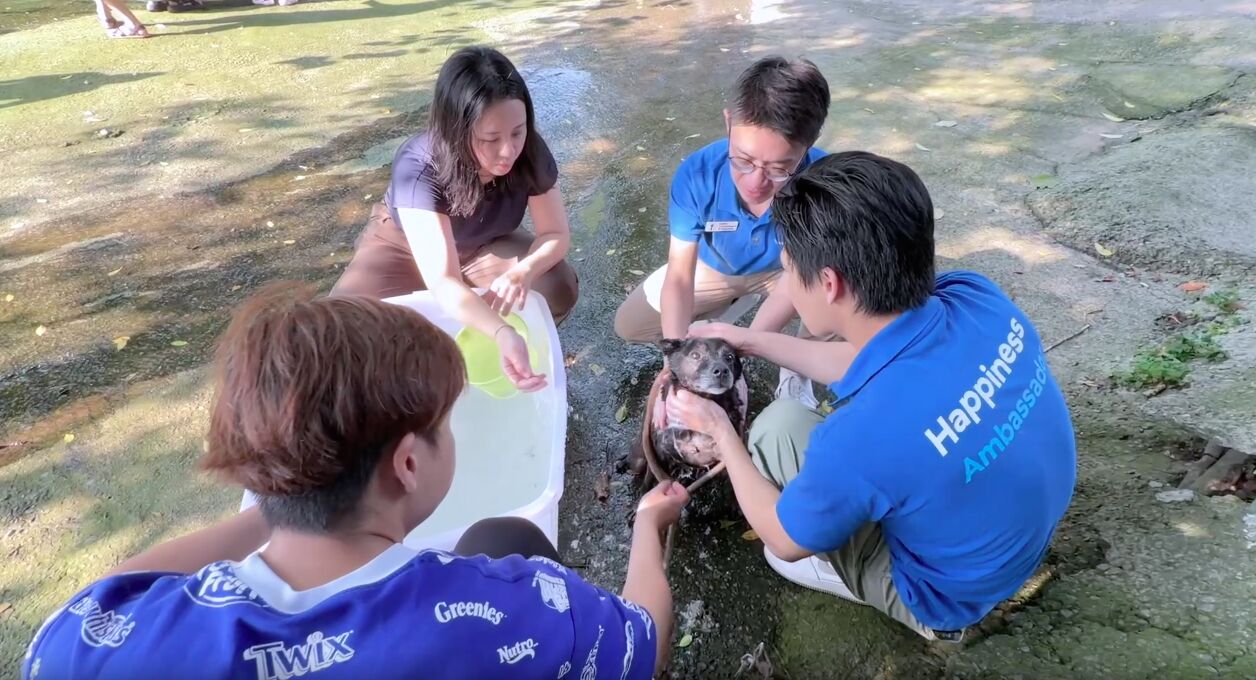 ▲瑪氏員工赴八里陪伴流浪毛孩　攜手APA送暖全台。（圖／記者劉亮亨攝）