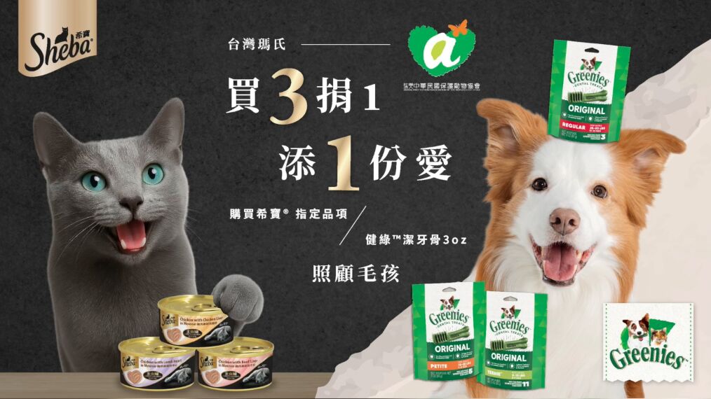 ▲瑪氏員工赴八里陪伴流浪毛孩　攜手APA送暖全台。（圖／記者劉亮亨攝）