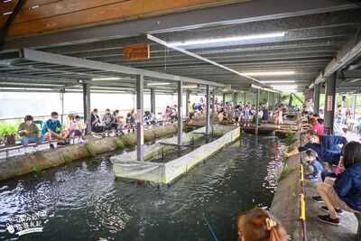 宜蘭頭城「保夾」釣蝦場！釣不到直接補送