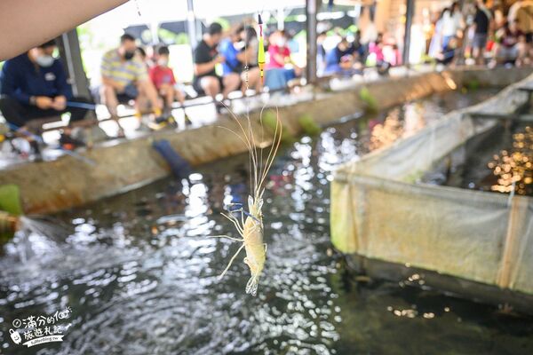 ▲▼蘭楊蟹莊。（圖／部落客滿分的旅遊札記授權提供）