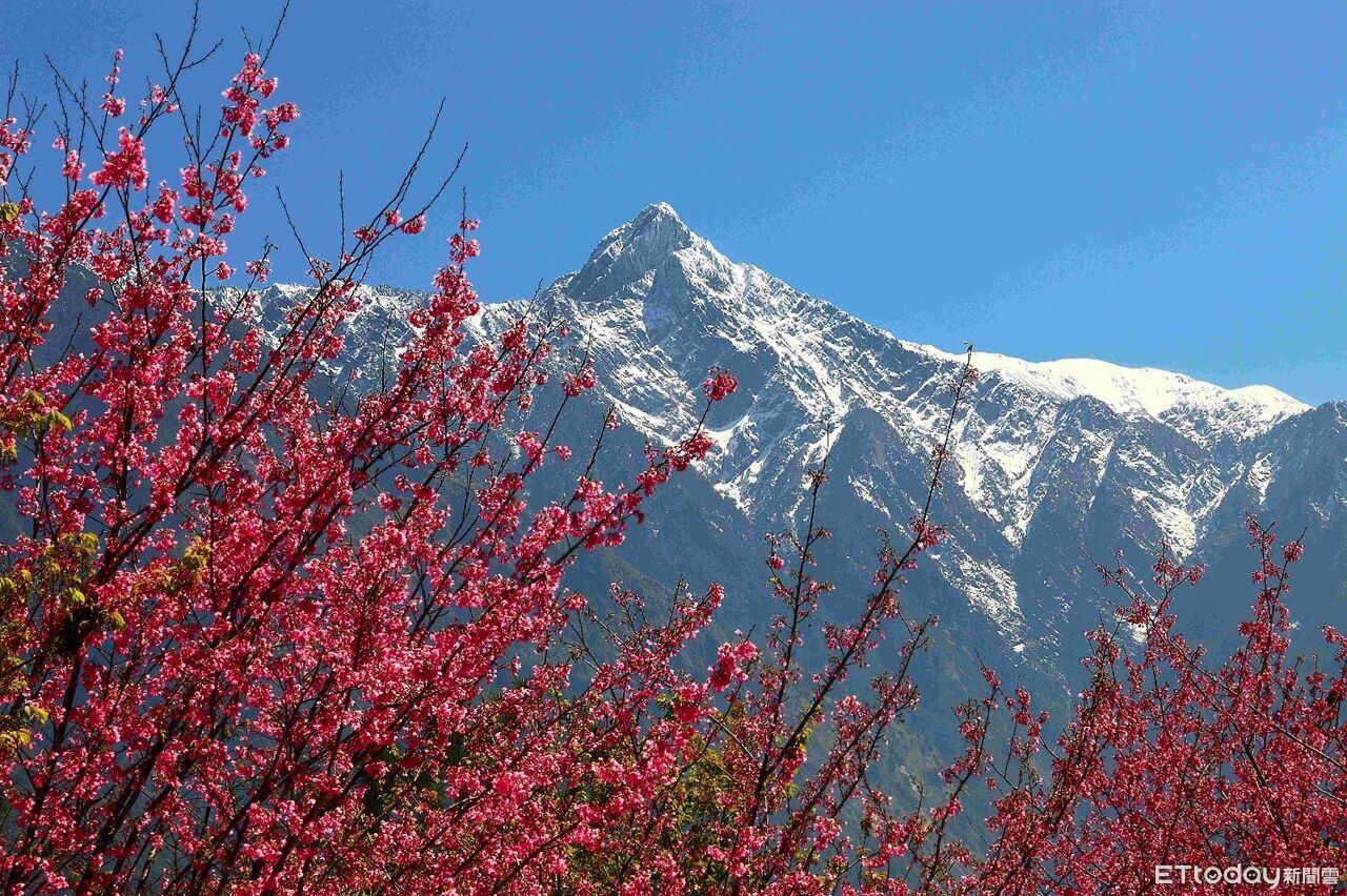 「看見玉山」影像徵集活動即起開跑 評選30件傑出作品