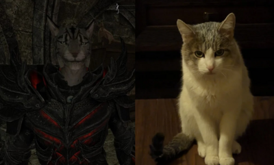 玩家重溫《上古卷軸5》一見牠秒淚崩　17年相伴已成一輩子家人