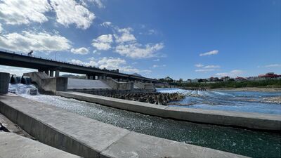 新北碧潭堰串聯生態廊道　打造全齡水岸再奪景觀大獎