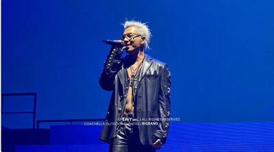 迷因始祖認證像黃仁勳　BIGBANG太陽無奈回應