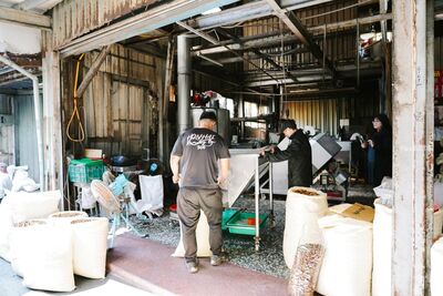 北港「蠶豆酥工廠」深藏巷底超神秘！