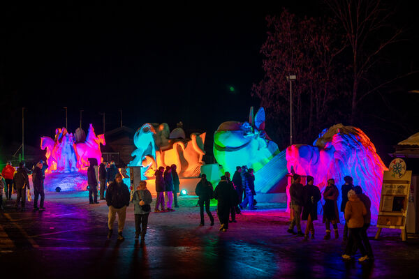 ▲▼2026世界雪雕節夜景。（圖／格林德瓦旅遊局提供）