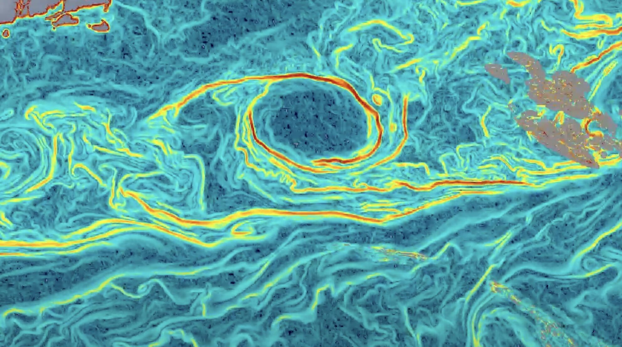 ▲▼科學家,人工智慧,洋流圖。（圖／斯克里普斯海洋研究所）