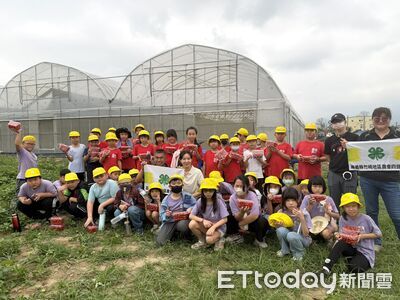 竹崎農會攜手青農與學童　採番茄義賣助弱勢