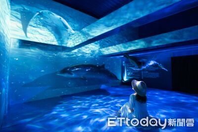 宜蘭綠博海洋館「蔚藍脈動」人氣旺　紫光探險看深海生物
