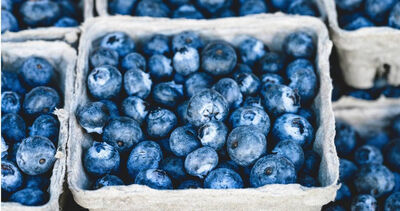 狂嗑藍莓！她「胃長石頭」痛到送急診　醫示警：4類人別亂吃