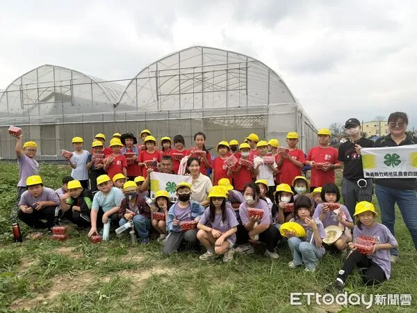 ▲▼   採小番茄化愛心！竹崎農會攜手青農鹿滿國小 義賣助弱勢  。（圖／竹崎農會提供）