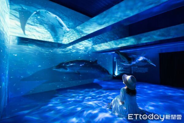 ▲▼2026宜蘭綠博人氣展館「蔚藍脈動（Azure Pulse）」，讓遊客視覺饗宴。（圖／記者游芳男翻攝，下同）