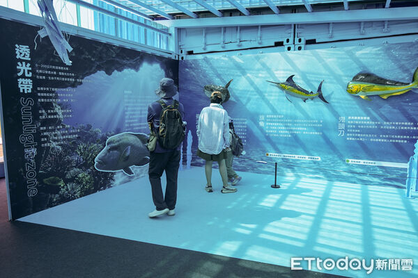 ▲▼2026宜蘭綠博人氣展館「蔚藍脈動（Azure Pulse）」，讓遊客視覺饗宴。（圖／記者游芳男翻攝，下同）