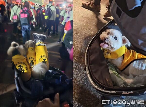 ▲。（圖／有點毛毛的／紫月提供）