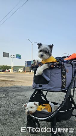 ▲。（圖／有點毛毛的／紫月提供）