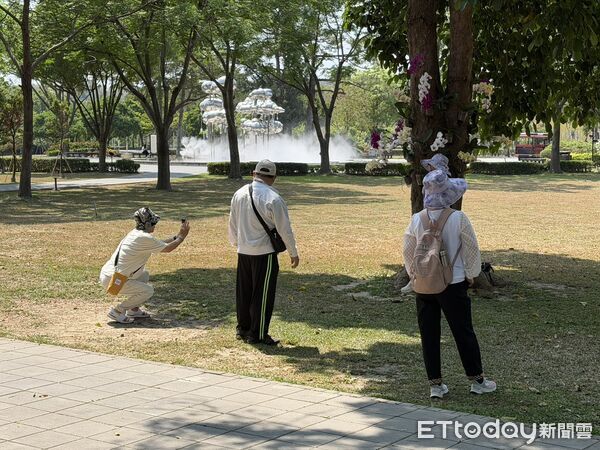▲台南山上花園水道博物館將蘭花移植上樹，打造立體花景。（記者林東良翻攝，下同）