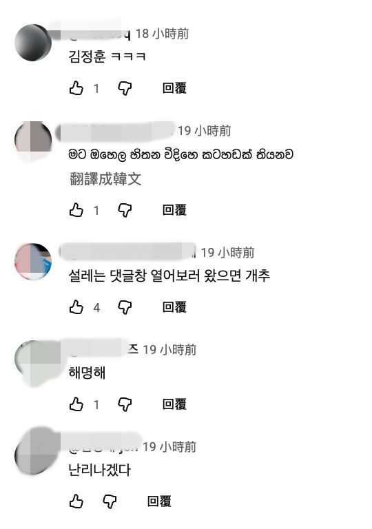 ▲▼▲▼親哥爆涉性侵BJ「拘捕令遭駁回」　Jisoo官方YT現留言質問：解釋！。（圖／翻攝自Jisoo YouTube）