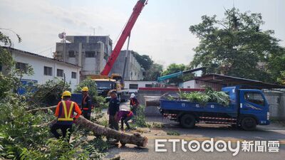 防範颱風災害　關山警攜手國產署排除高風險樹枝