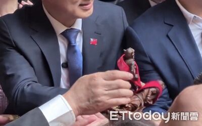 大甲媽上轎典禮出意外！千里眼不慎掉落地面　民俗專家說話了