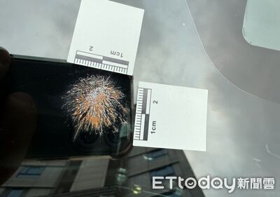 擋風玻璃驚見「放射狀彈孔」她嚇壞　鑑識警：乾掉的鳥便便啦