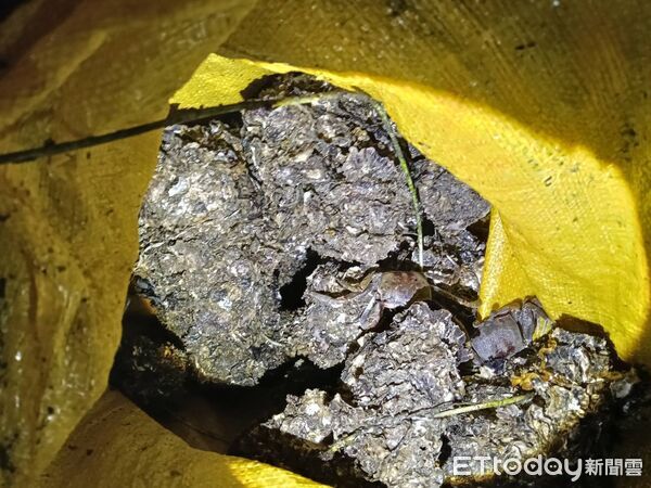 ▲海巡人員發現5移工盜採蚵田。（圖／海巡署第三岸巡隊提供）