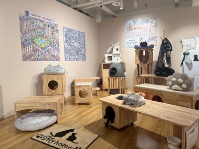 涼感寢具、人寵共用空間詢問度高！宜得利打造沉浸式生活展