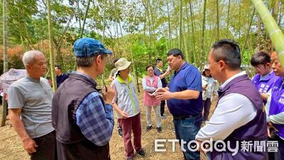 南投林業用地孟宗竹春筍減產8成　農業部現金救助開放申請至6/16