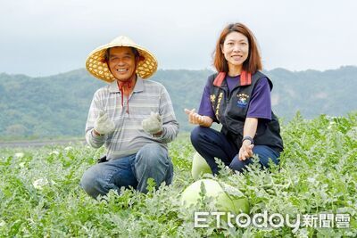 花蓮大西瓜清涼登場！3大產區5月起陸續上市　防網路低價詐騙
