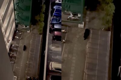 黑熊闖仙台市中心！躲草叢14小時才擊斃　距車站僅2公里嚇壞居民