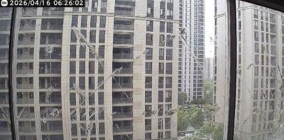 怪鳥天天報到在窗戶「以糞作畫」　陸專家：是烏鶇...復仇心理很強