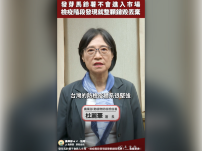 農業部署長親上火線！誤傳「發芽馬鈴薯」流竄：不合格一律銷毀