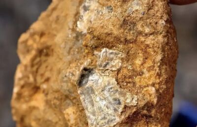 陸8歲男童爬山挖野菜突伸手一指「山下有黃金」　比對後真有金礦