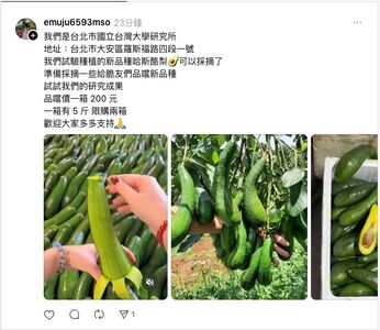 酪梨詐騙文「文章第一段」就露餡　被害人揭手法