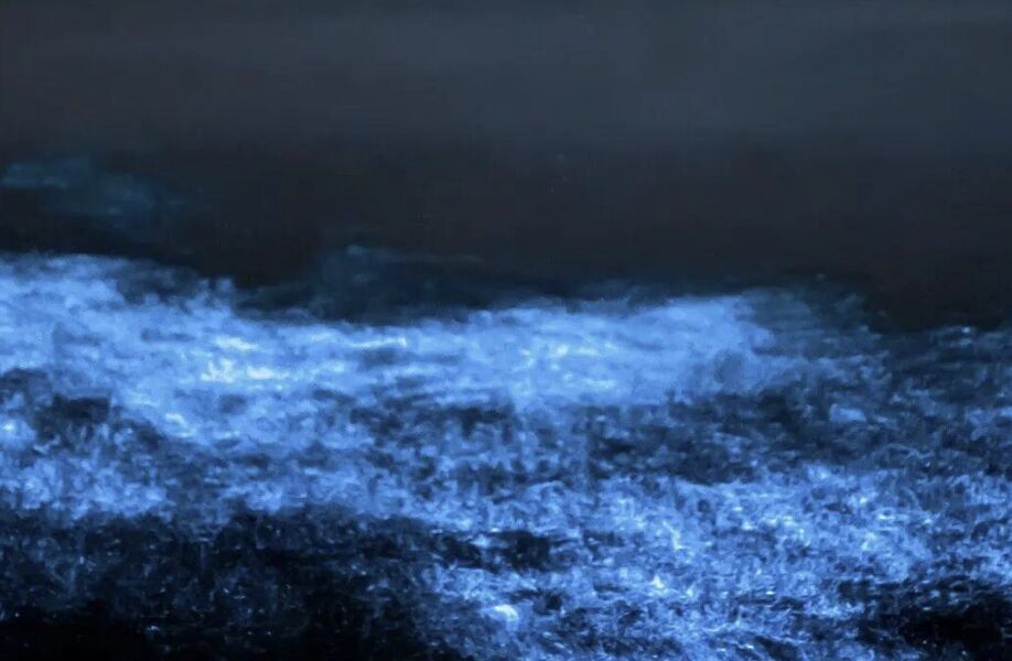 ▲浙江沿海部分地區開始出現「藍眼淚」美景。（圖／翻攝潮新聞）