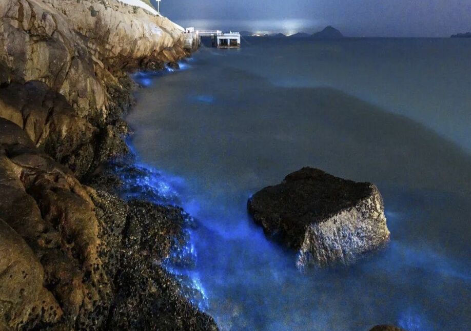 ▲浙江沿海部分地區開始出現「藍眼淚」美景。（圖／翻攝潮新聞）