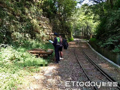 違規行走鐵道！3遊客擅闖阿里山眠月線　林鐵處最高開罰5萬元