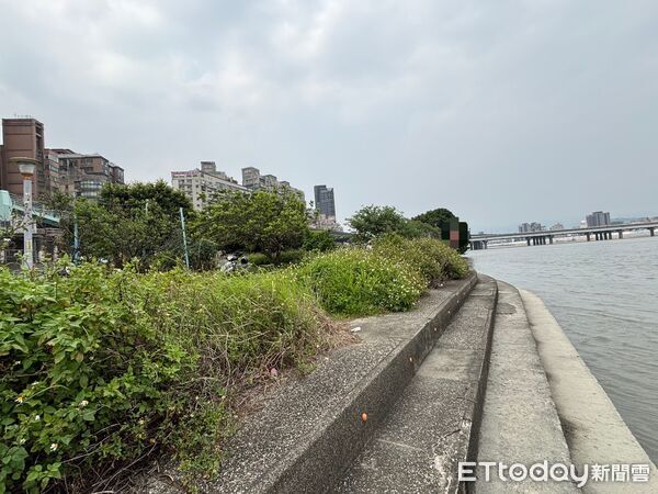 ▲▼吳女墜落淡水河救起送醫恢復呼吸心跳             。（圖／記者陳以昇翻攝）