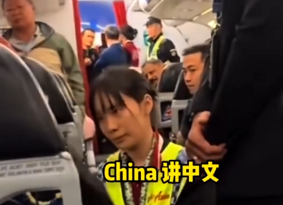 陸女因「空姐未說中文」在機內失控吼叫 還自稱同行遭南航打臉