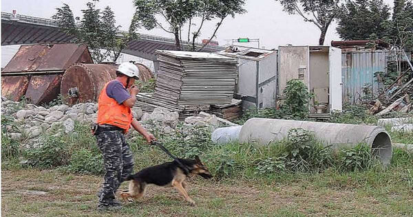 訓練一隻合格搜救犬需時兩年，花費將近60萬元台幣，而且不一定成功。（圖／段傳仁提供）