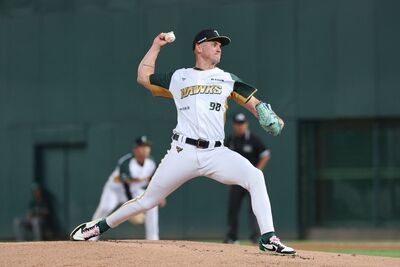 陳文杰4支4、坎南轉隊首勝　台鋼雄鷹4比3逆轉味全龍